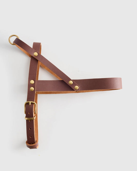 Italian Leather Dog Harness - XS / Brown