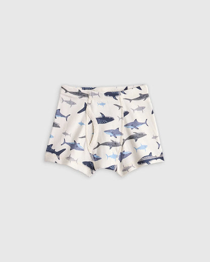 Boys 100% Organic Cotton Boxer Brief 7-Pack - 6 / Boy Multi Pack