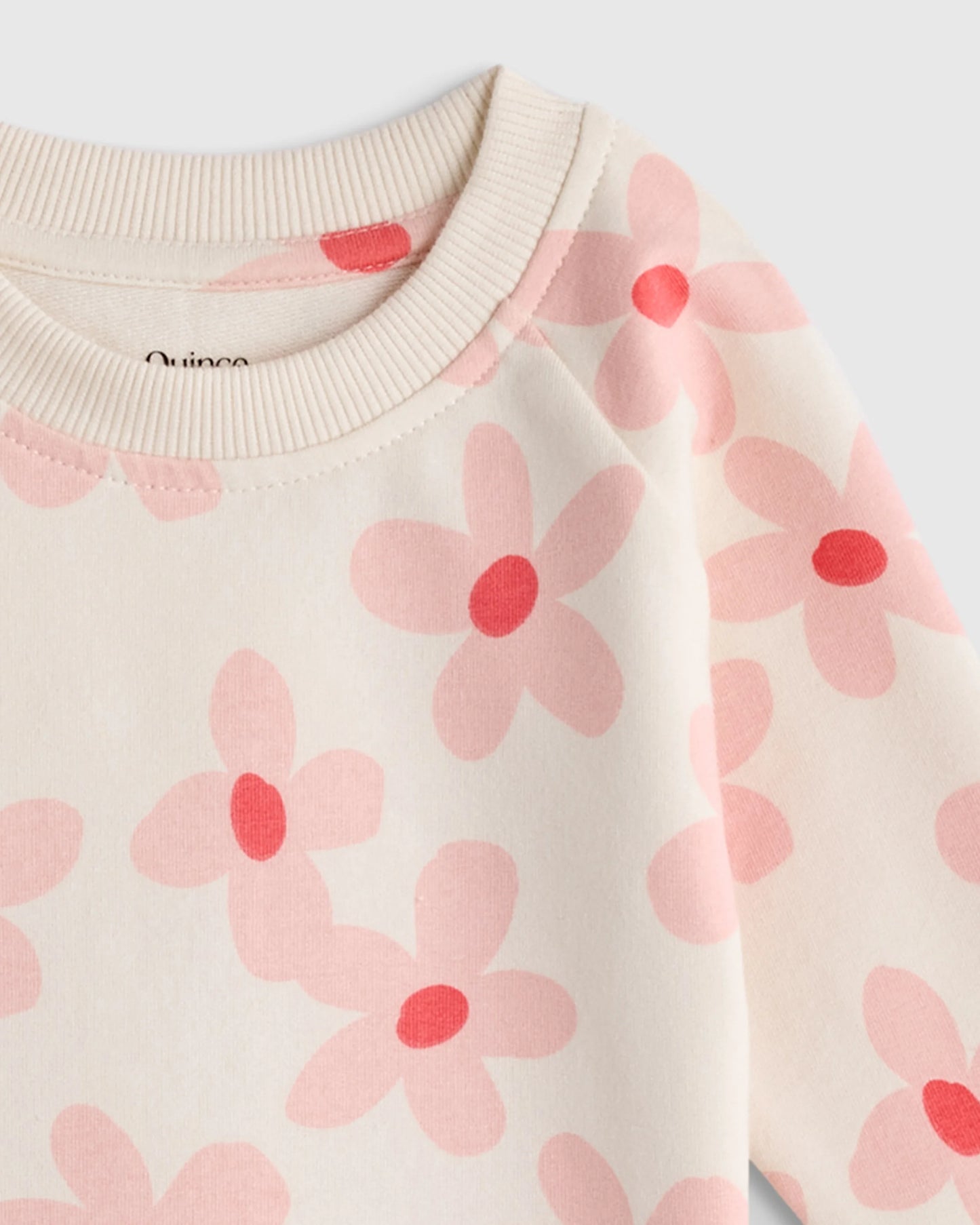 Organic Cotton French Terry Crew Neck Sweatshirt - 3-6M / Blue Stars