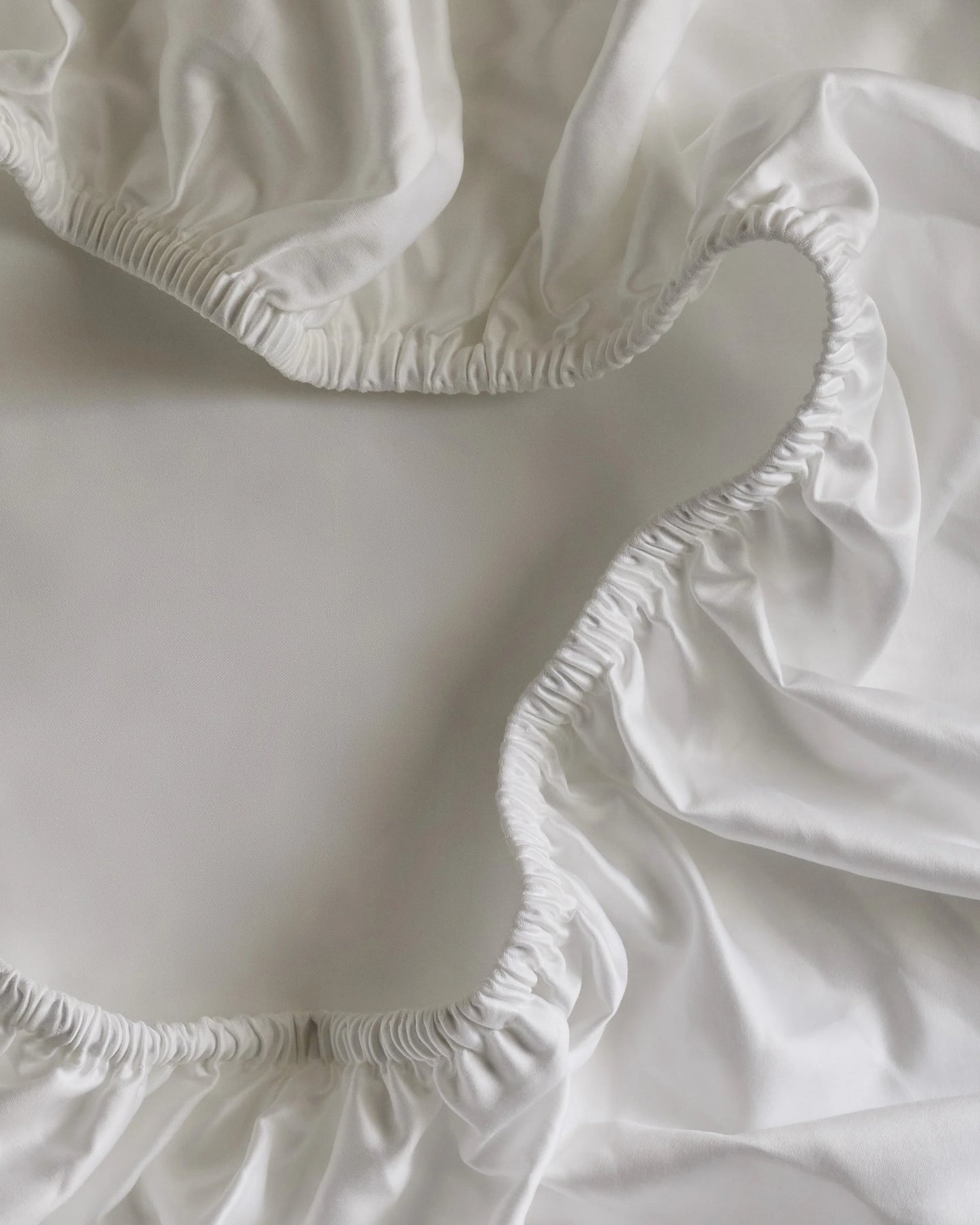 Signature Giza Cotton Sateen Embroidered Fitted Sheet Set - Twin / White/Dried Sage