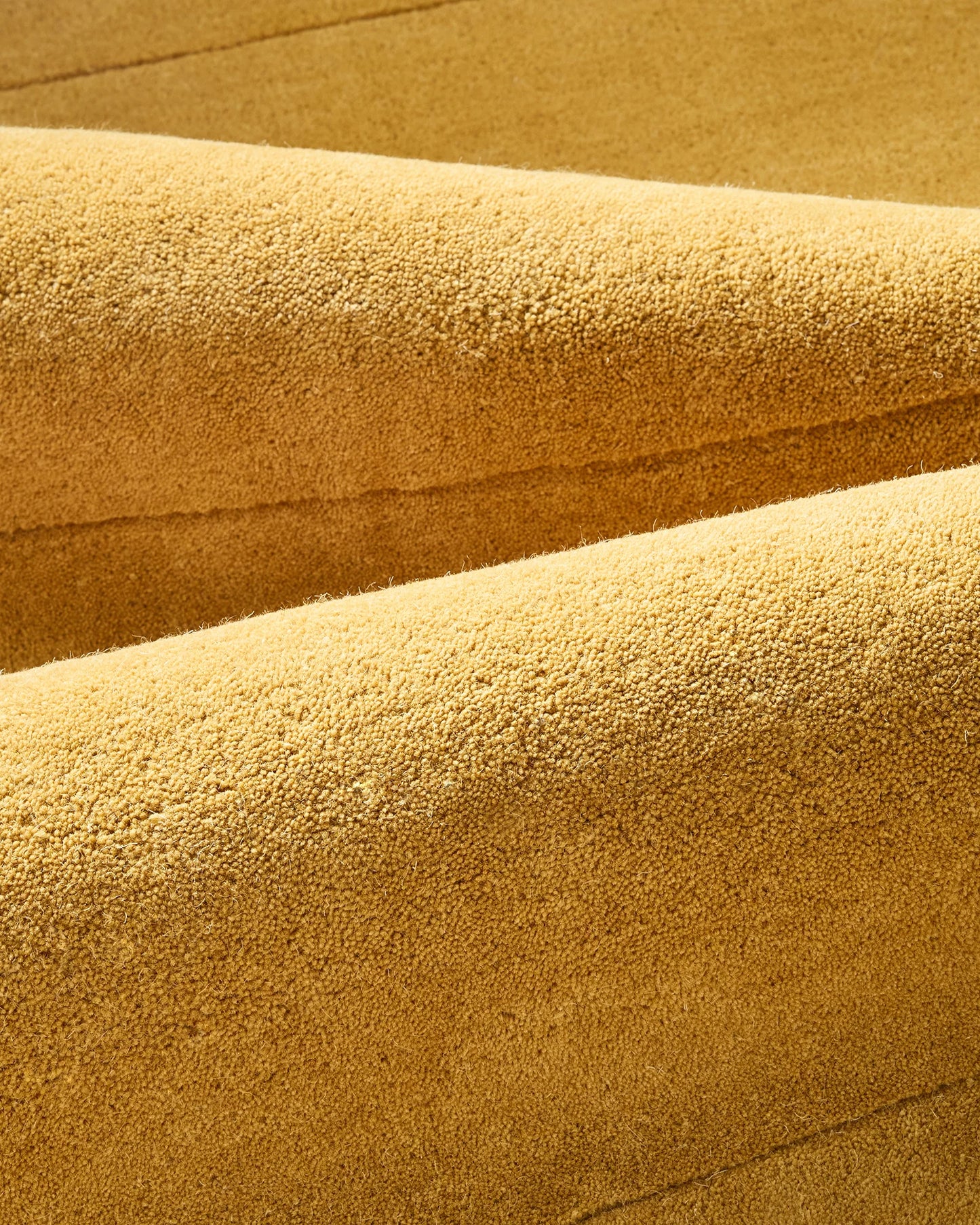 Scalloped Border Hand-Tufted Rug - 5' x 8' / Mustard