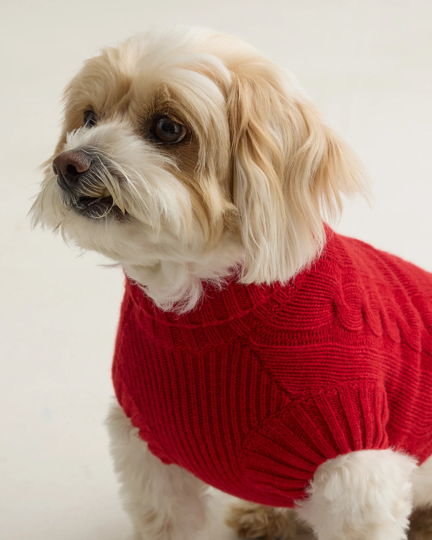 Mongolian Cashmere Cable Knit Dog Sweater - XS / True Navy