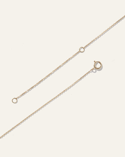 14K Gold Wishbone Necklace - One Size / Yellow Gold