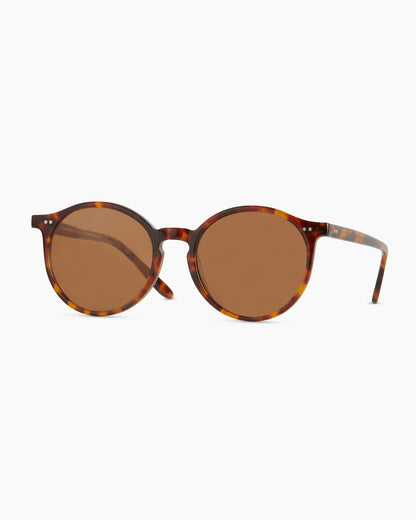 Brixton Polarized Acetate Sunglasses - Standard / Clear Taupe with Brown lens