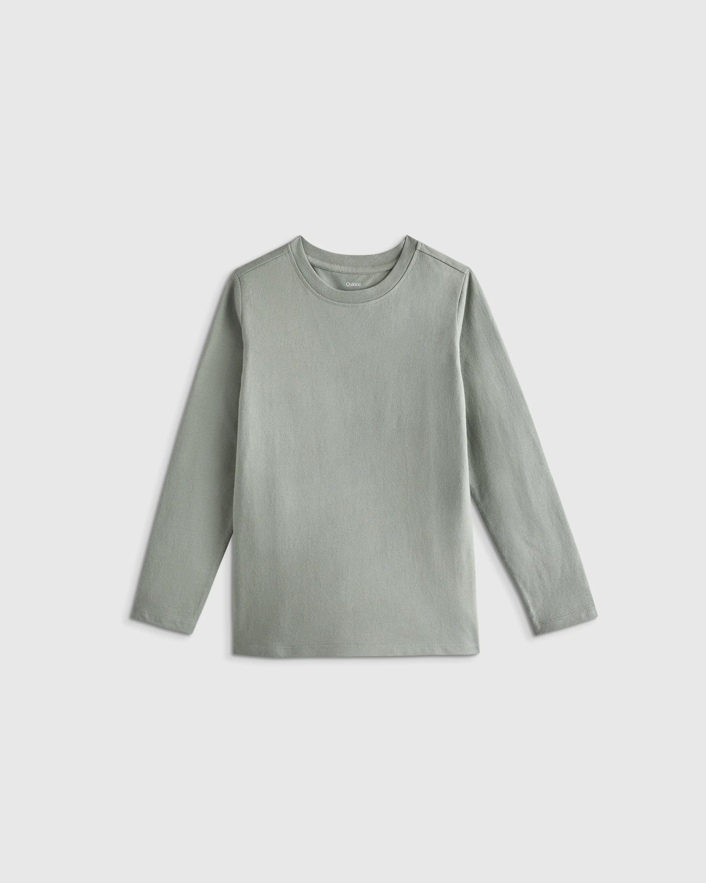 100% Organic Cotton Jersey Long Sleeve Tee - 2T / Dino Sketch