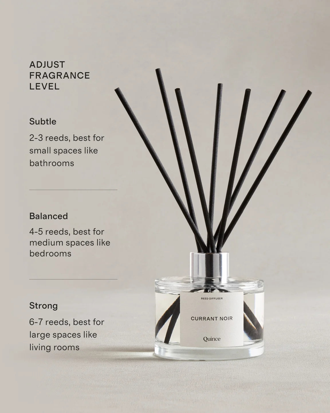 Currant Noir Reed Diffuser - One Size / No Color