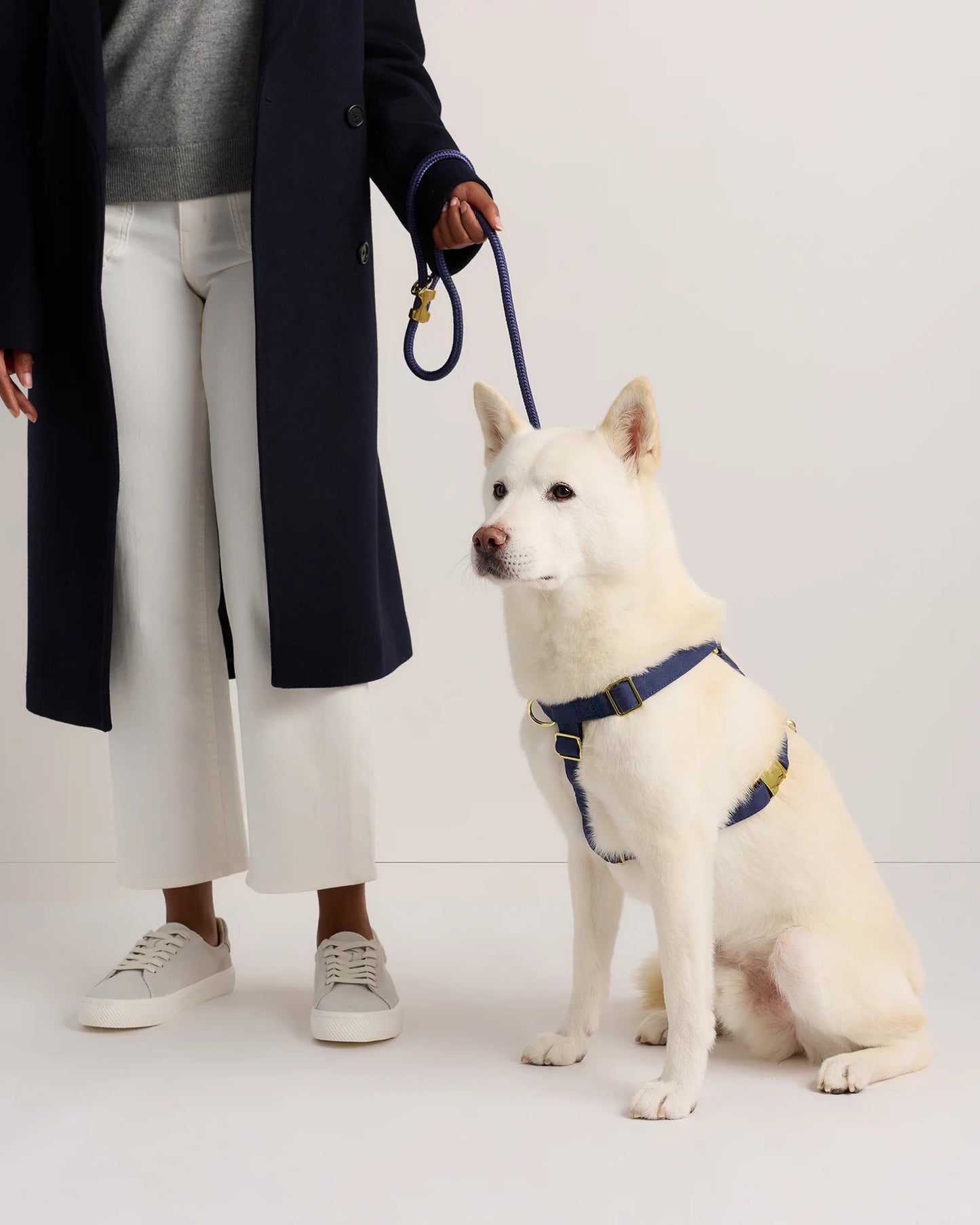 100% Cotton-Wrapped Nylon Dog Harness - XS / Navy