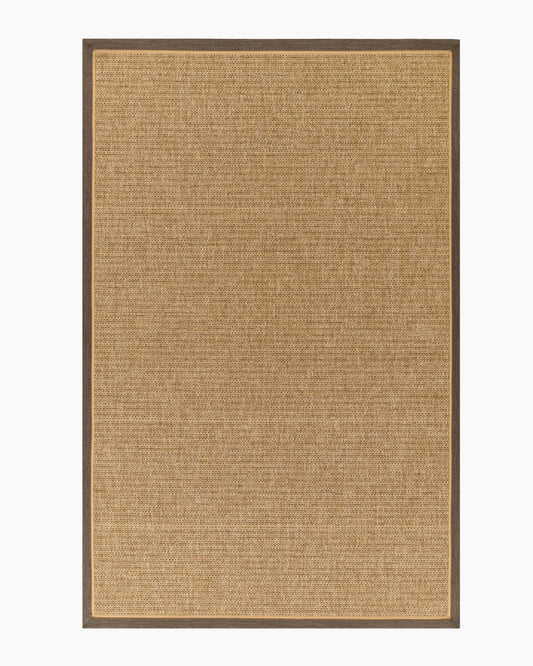 Kitt Indoor/Outdoor Rug - 2' x 4' / Brown/Beige