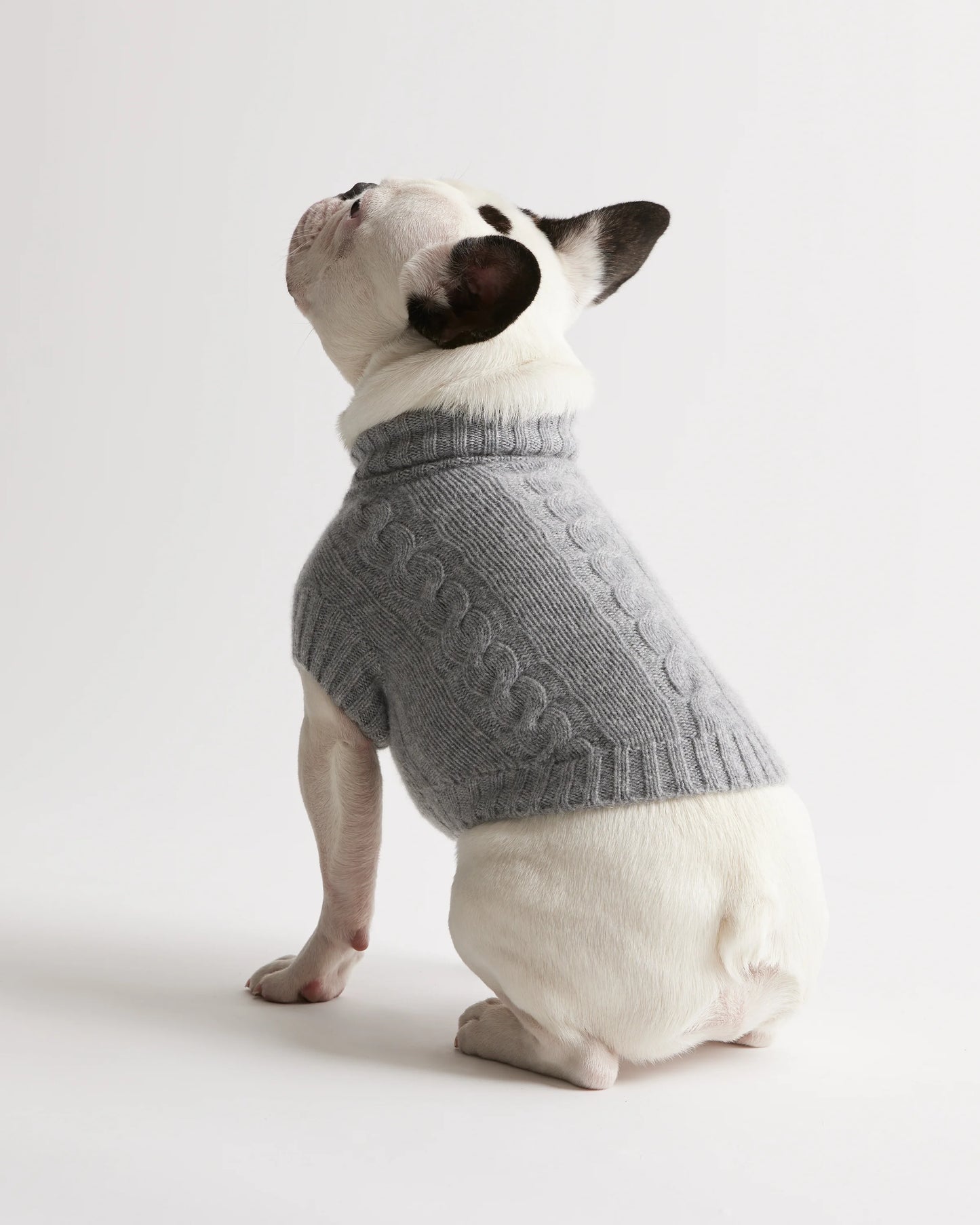 Mongolian Cashmere Cable Knit Dog Sweater - XS / True Navy