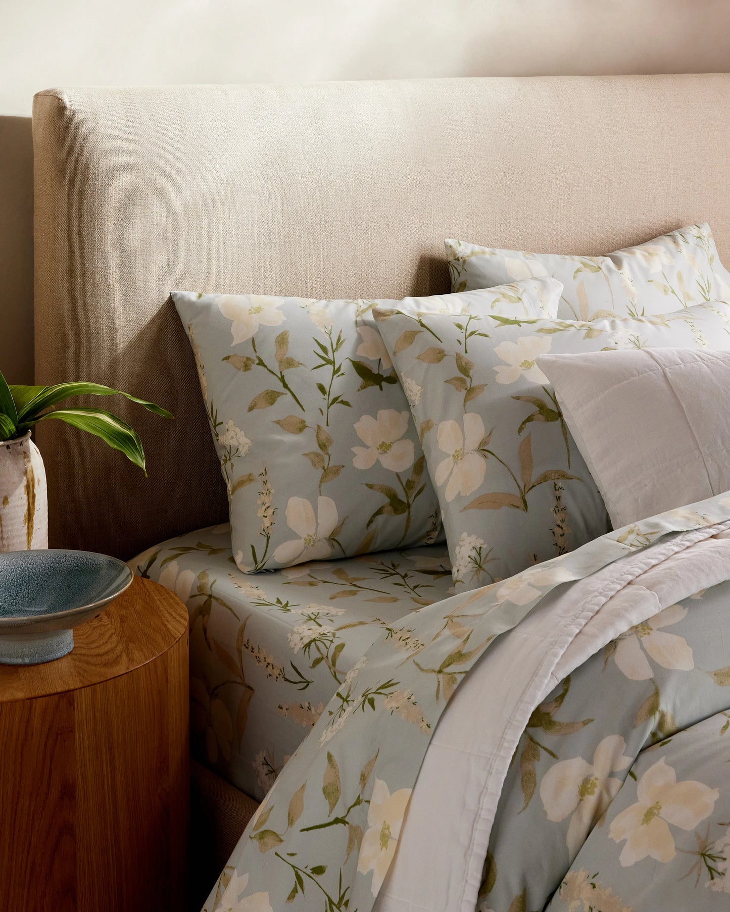 Organic Crisp Percale Floral Sham Set - Standard / Toffee Florette