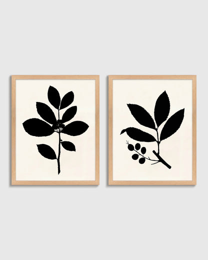 Tea Tree, Cherry Laurel by Philippa Katz (Set of 2) - 17.25"x21.25" / Black