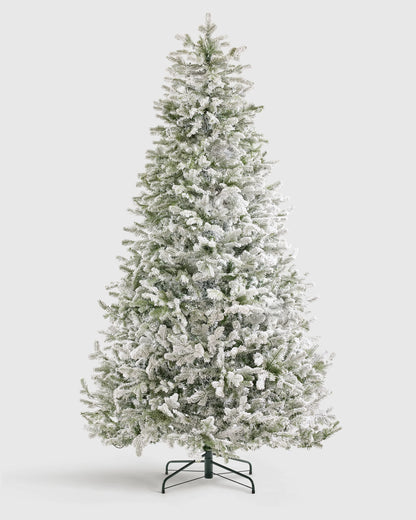 Frosted Fraser Fir Artificial Christmas Tree: Lit - 6.5' / Forest Green