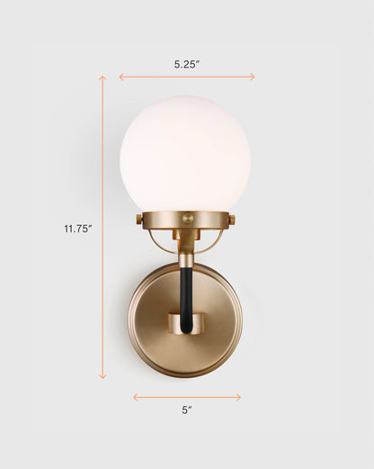 Single Globe Steel Sconce - One Size / Black