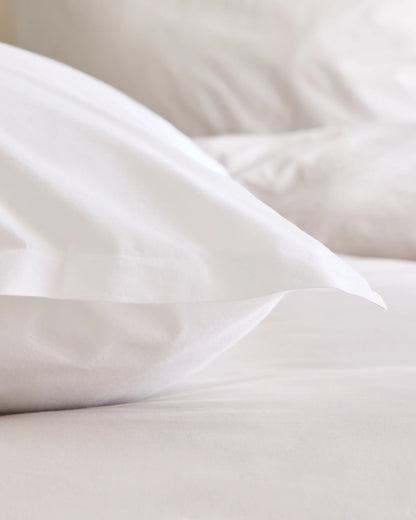 Organic Brushed Cotton Euro Sham - Euro / Dusty Olive