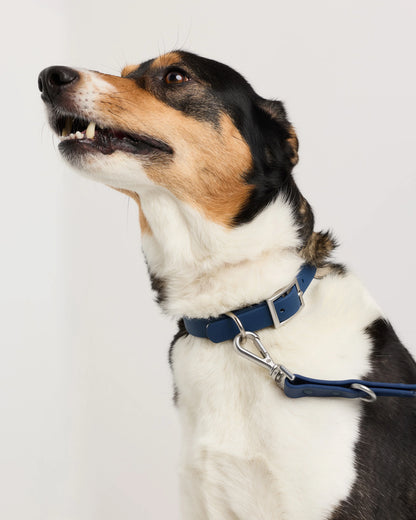 Flex-Poly Dog Collar - XS / Black