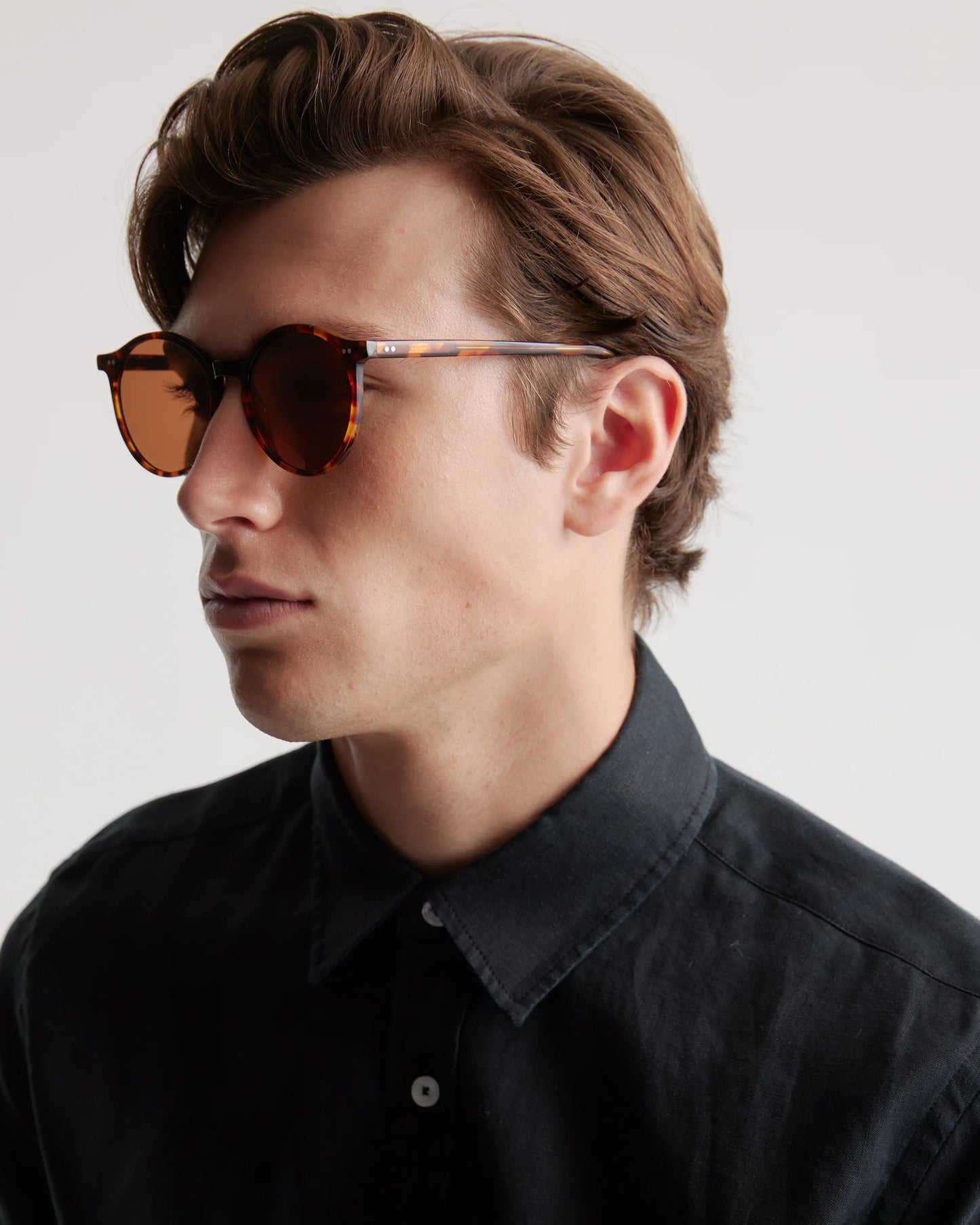 Brixton Polarized Acetate Sunglasses - Standard / Clear Taupe with Brown lens