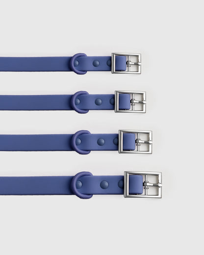 Dog Collar Walk Kit - XS / Black