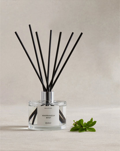 Marrakech Mint Reed Diffuser - One Size / No Color