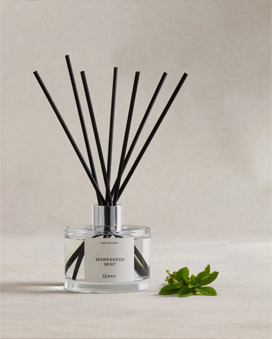 Marrakech Mint Reed Diffuser - One Size / No Color