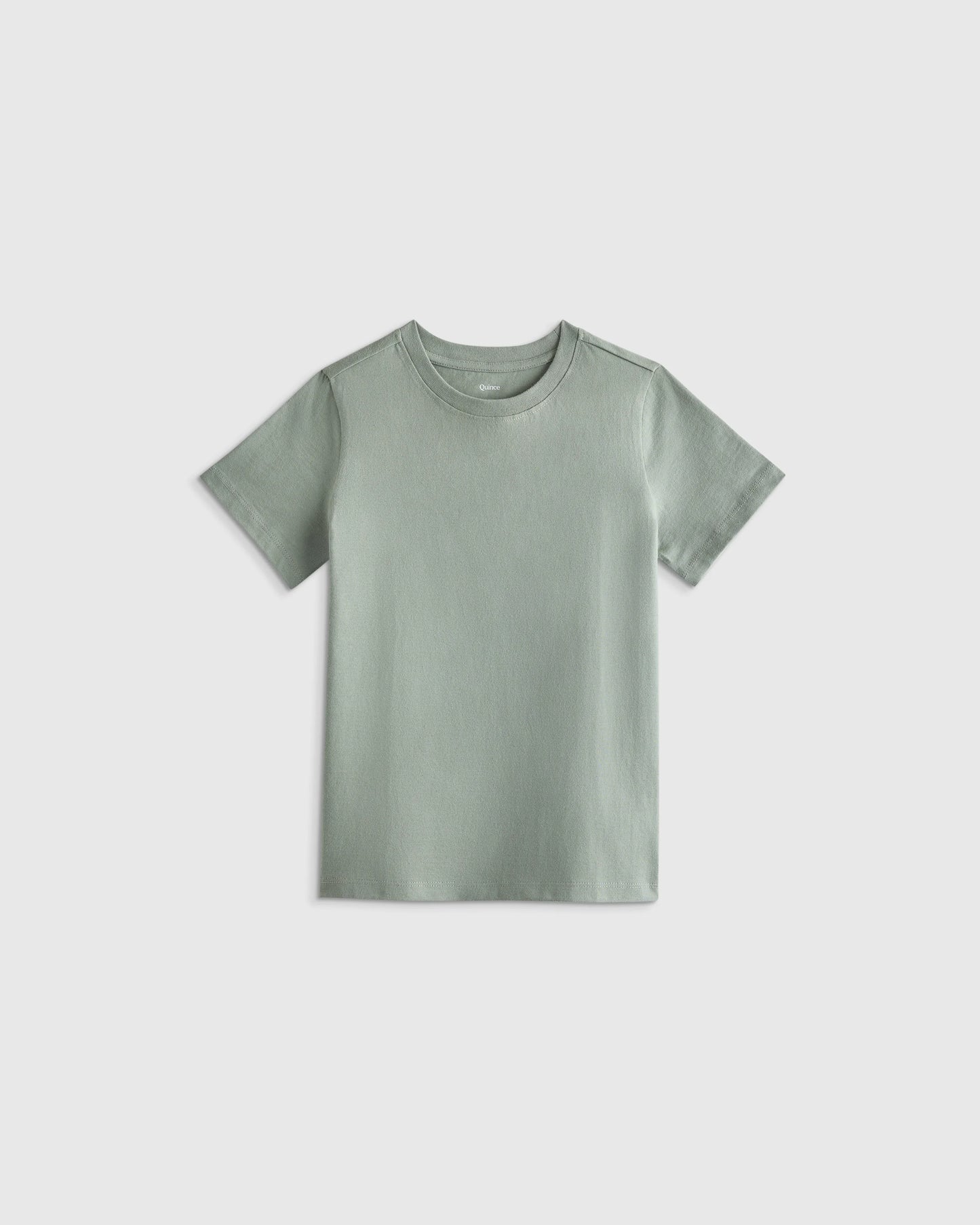 100% Organic Cotton Jersey Short Sleeve Tee - 2T / Dino Sketch