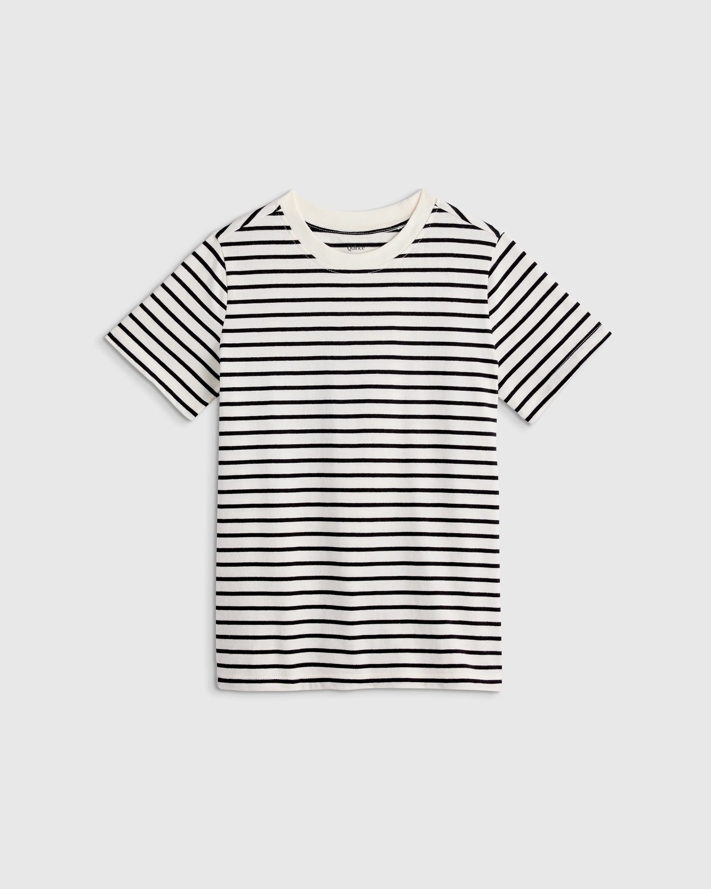100% Organic Cotton Jersey Short Sleeve Tee - 6 / Dino Sketch
