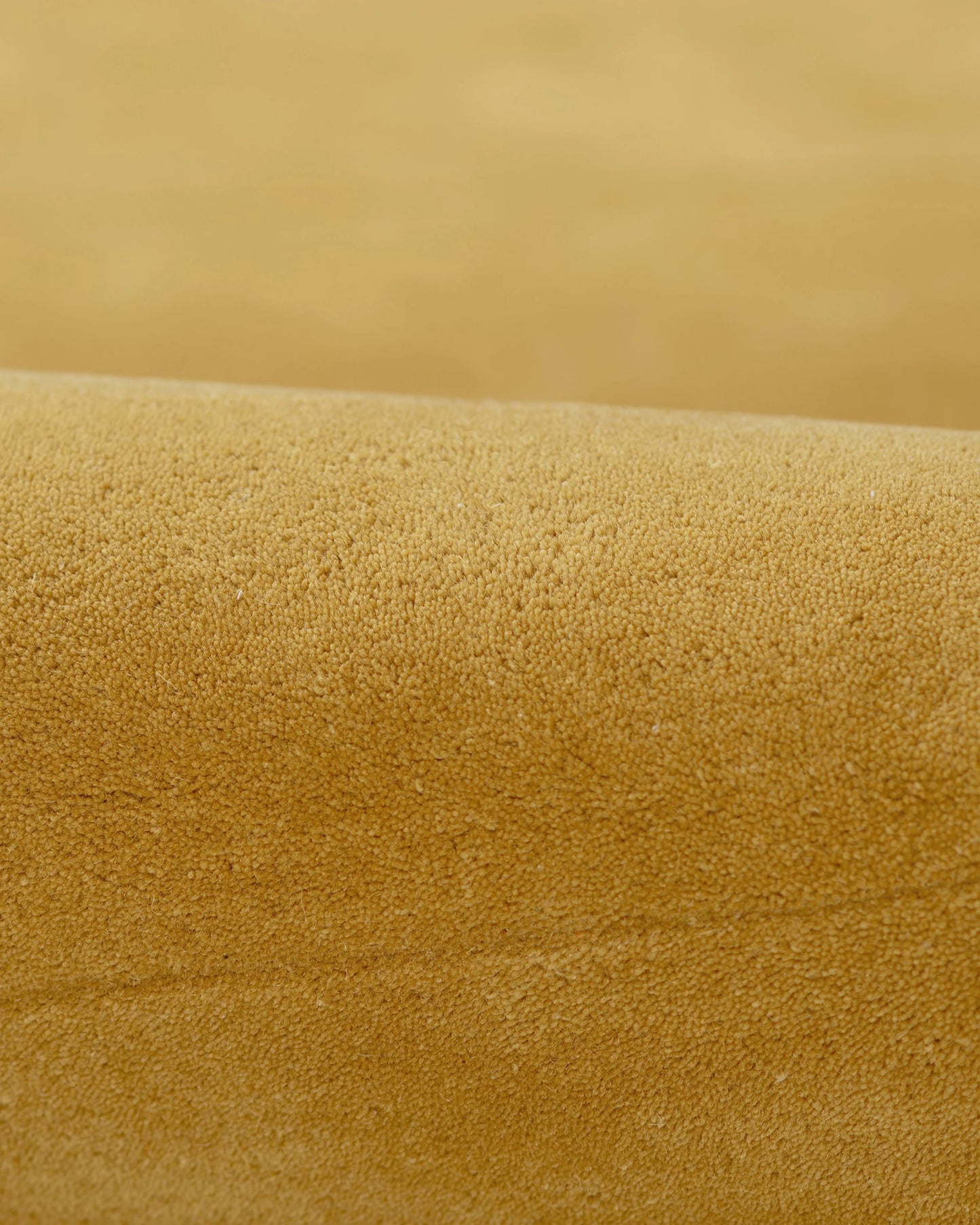 Scalloped Border Hand-Tufted Rug - 5' x 8' / Mustard