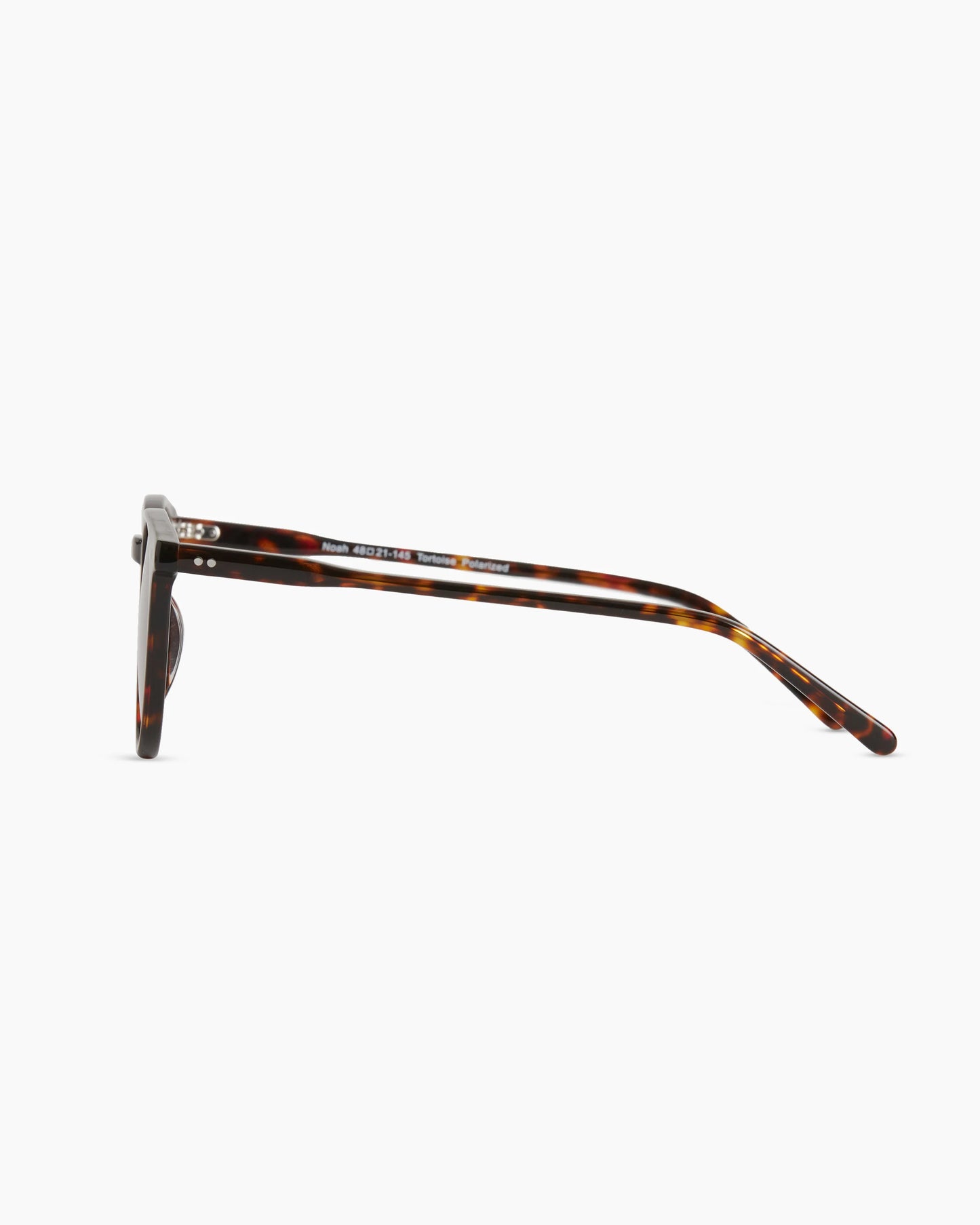 Noah Polarized Acetate Sunglasses - Standard / Tortoise with Brown lens