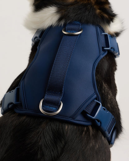Neoprene Double Panel Dog Harness - XS / Black