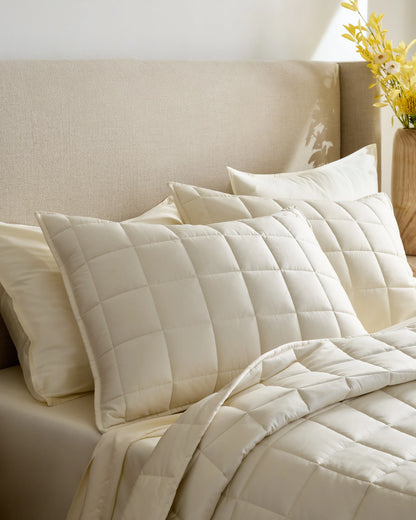 Bamboo Box Quilted Sham Set - Standard / Sage