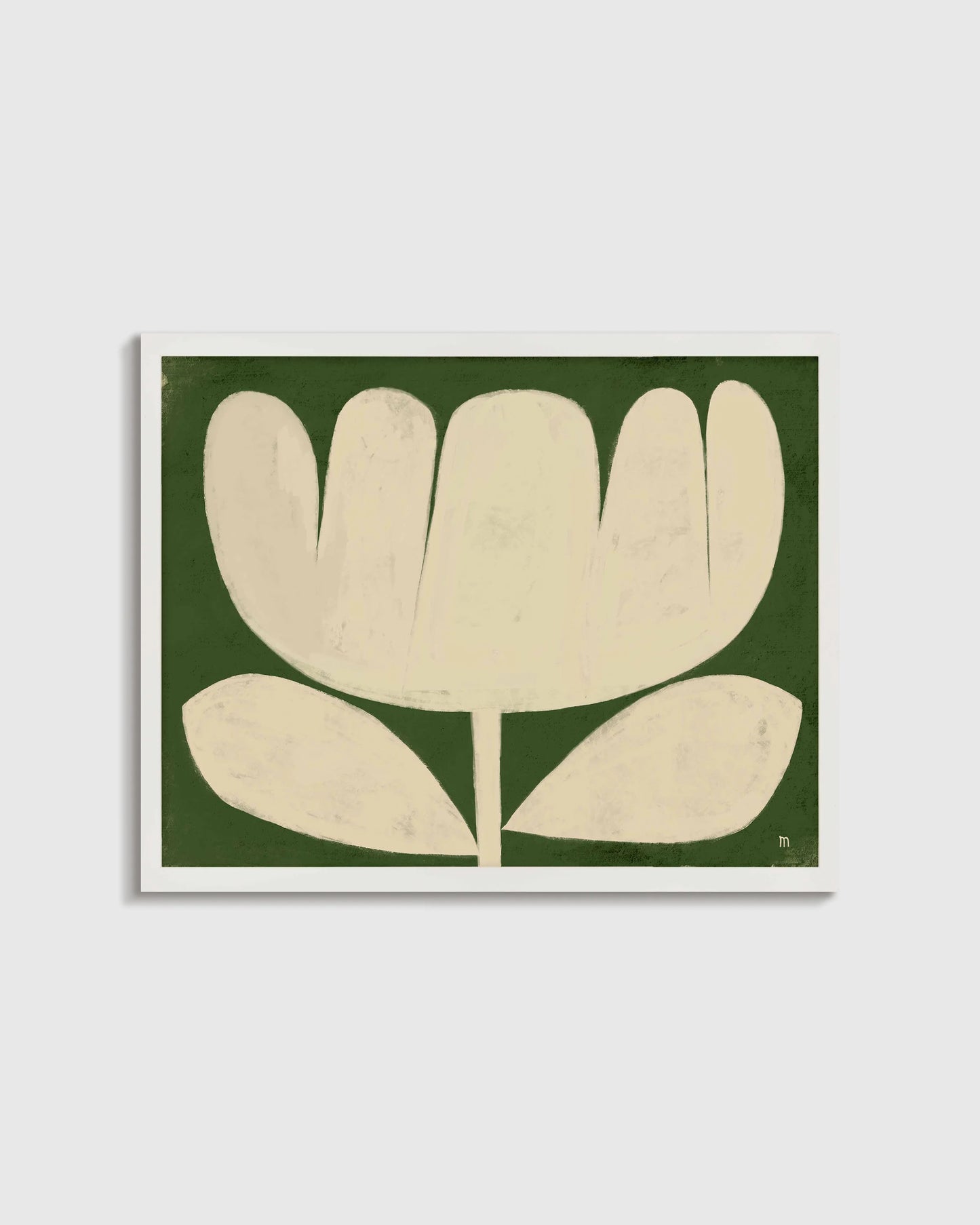 Tulip in Full by Marco Marella - 17.25"x25.25" / White