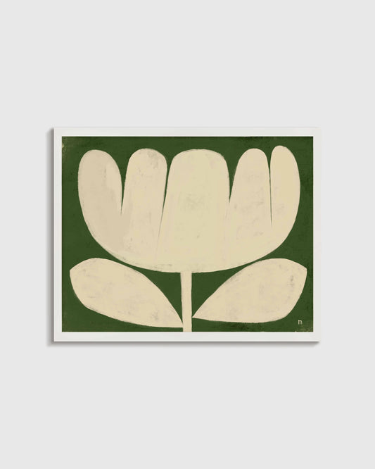 Tulip in Full by Marco Marella - 17.25"x25.25" / White
