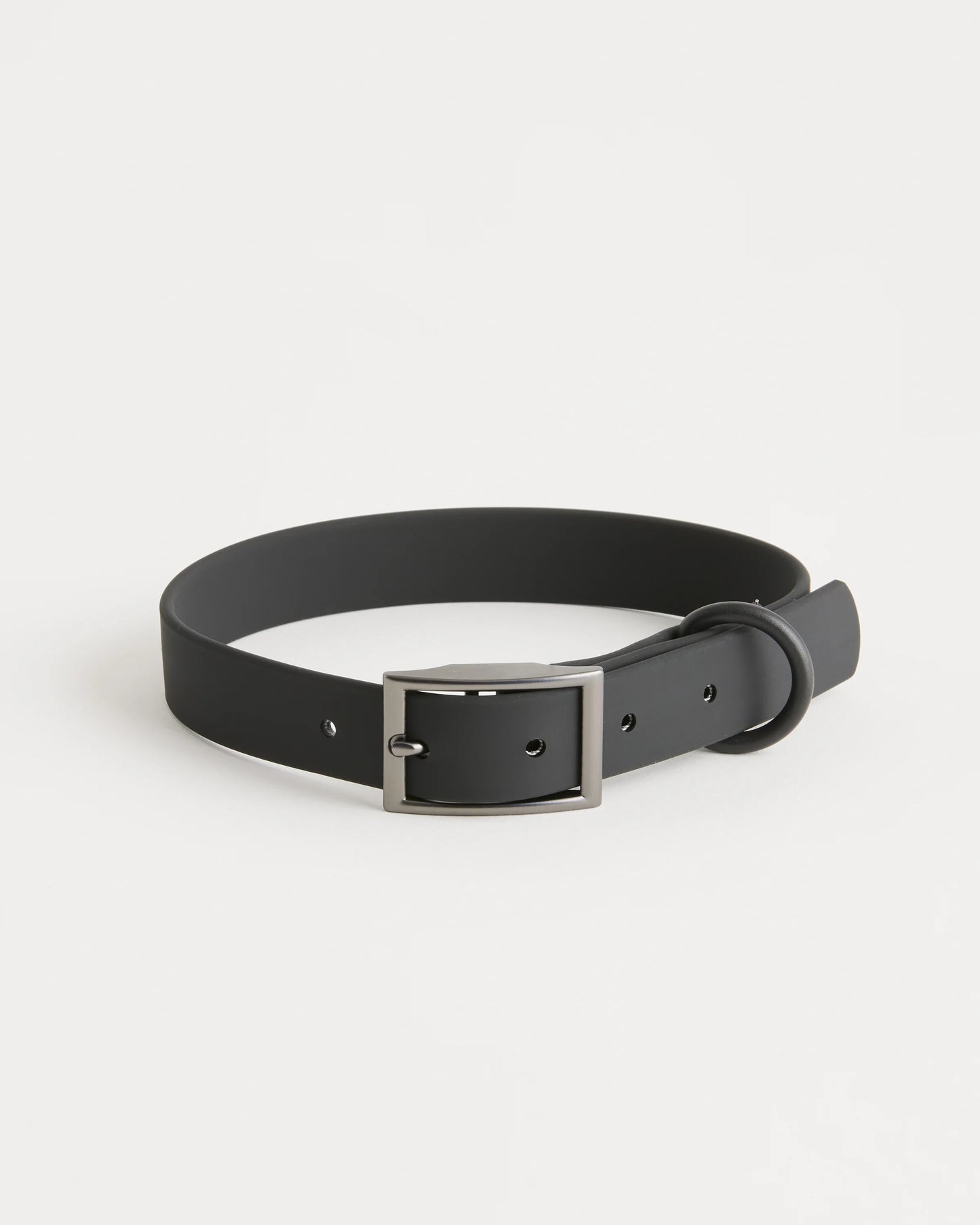Dog Collar Walk Kit - XS / Black