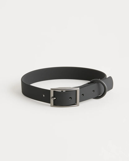 Dog Collar Walk Kit - XS / Black