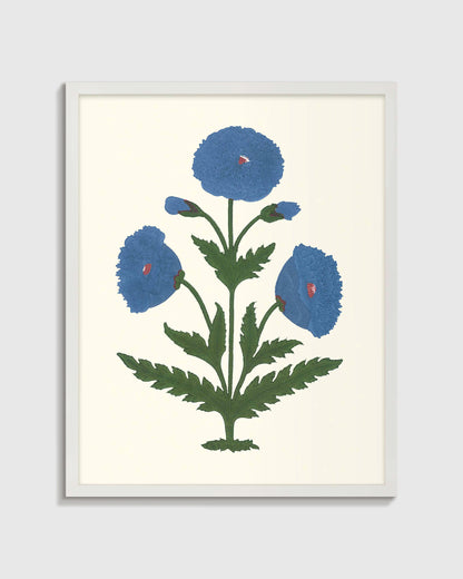 Blue Mughal Poppy Antique Print - 21.25"x26.25" / White