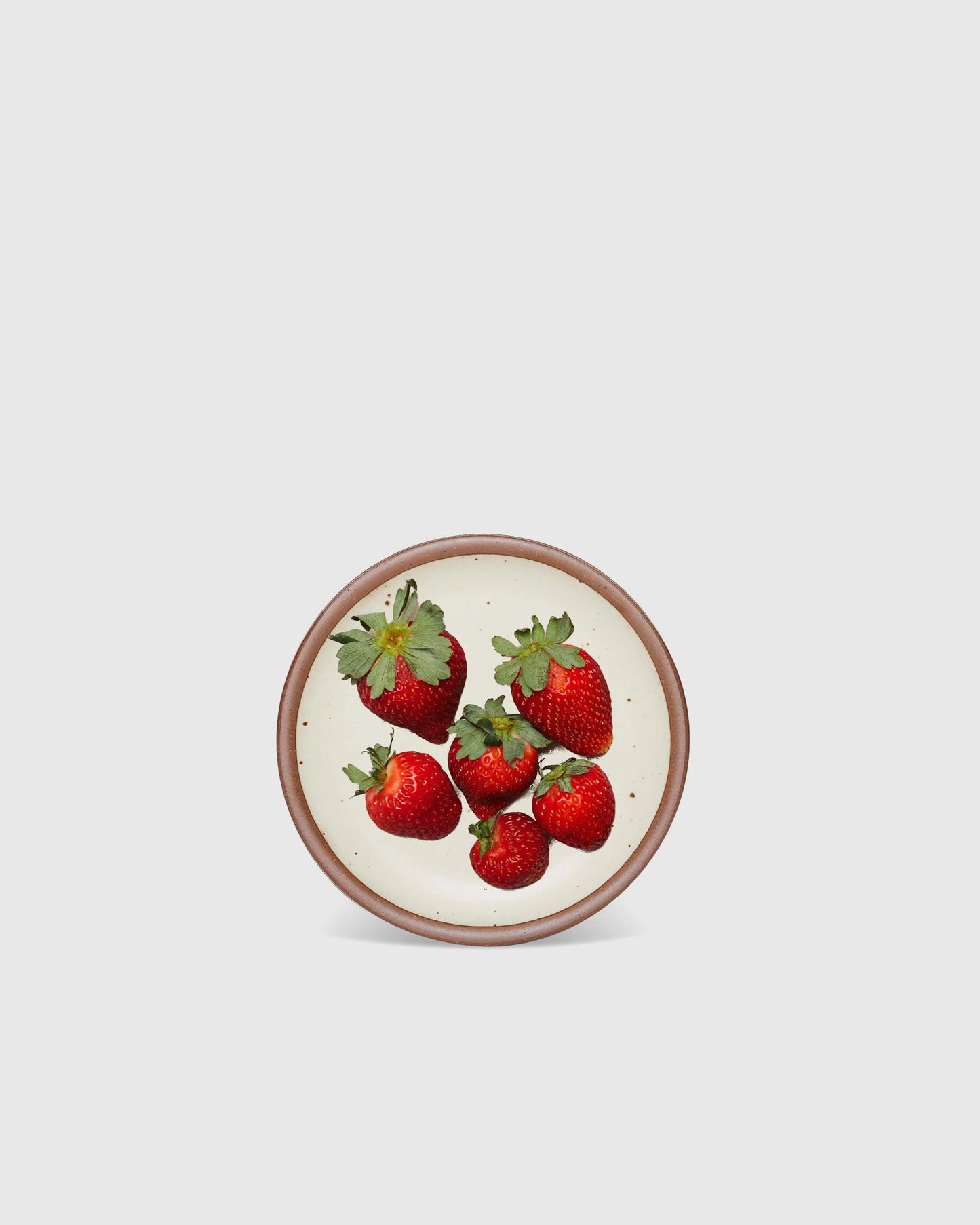 Cake Plate (Set of 4) by East Fork - One Size / Heron
