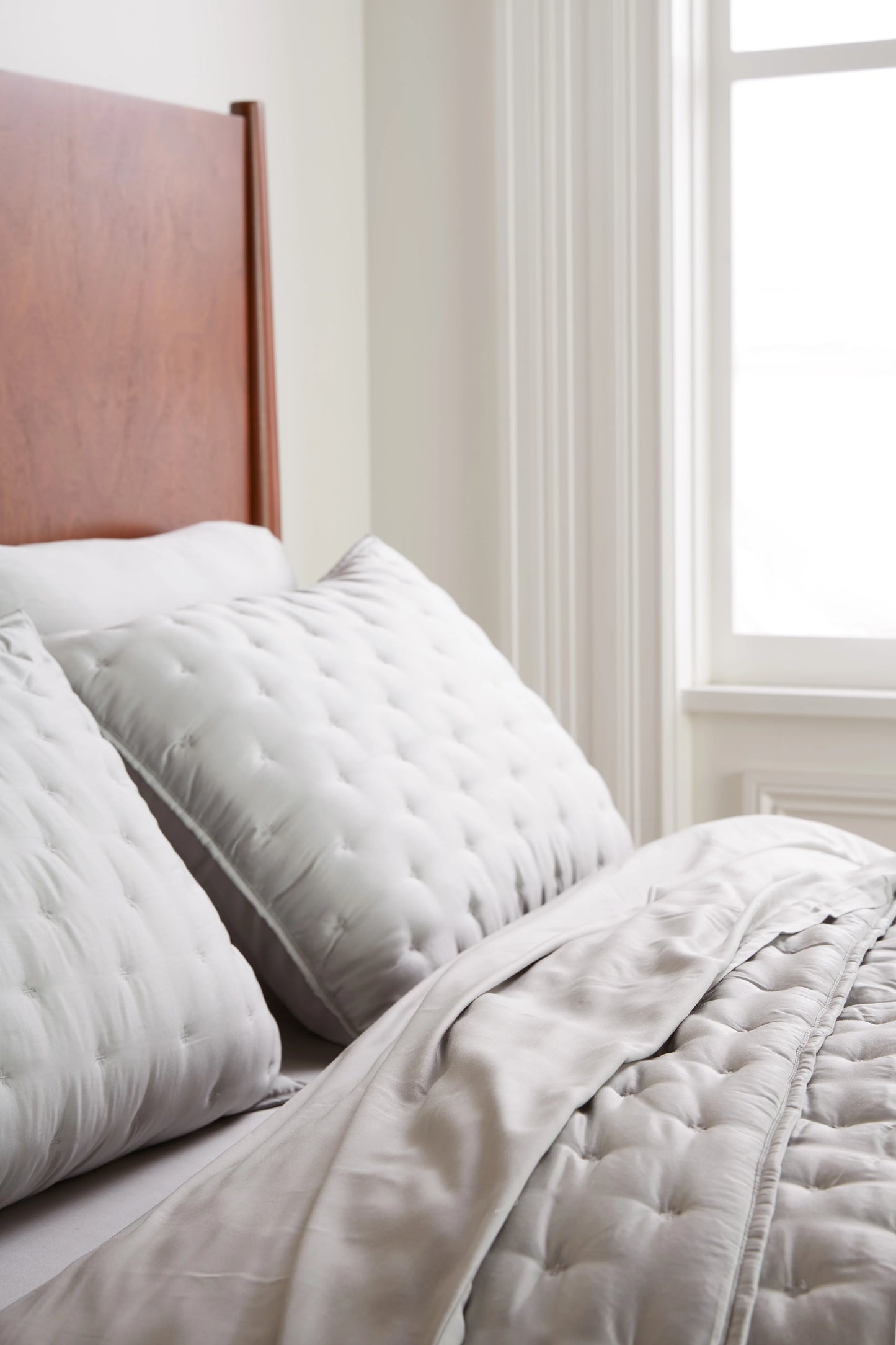 Bamboo Dream Quilted Sham Set - Standard / Sage