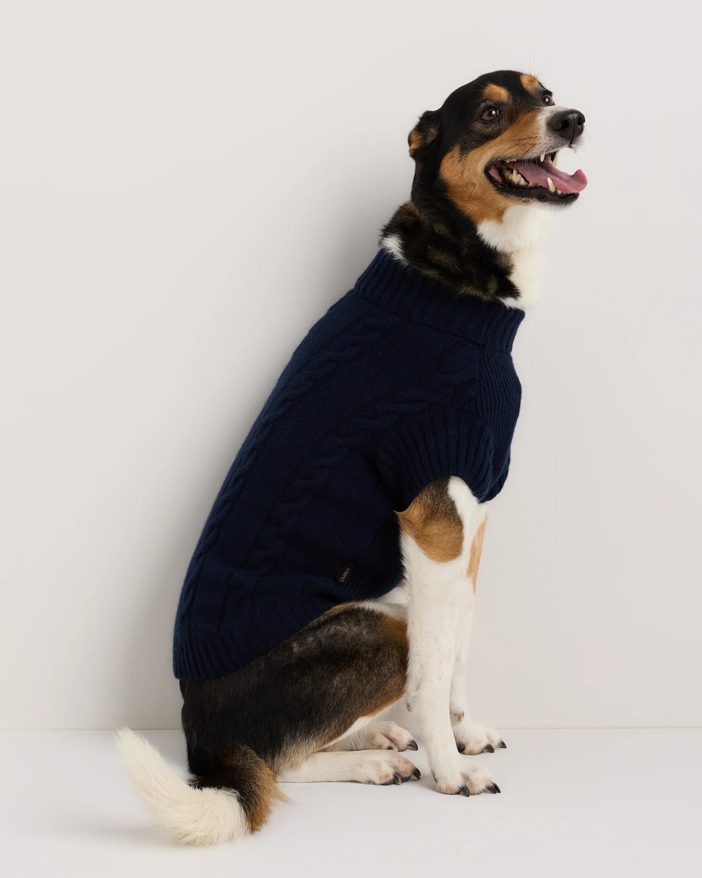 Mongolian Cashmere Cable Knit Dog Sweater - XS / True Navy