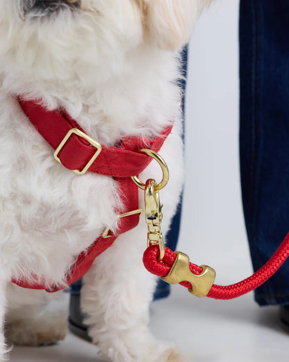 100% Cotton-Wrapped Nylon Dog Harness - XS / Navy