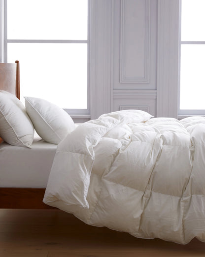Premium Down Alternative Duvet Insert - Twin / White