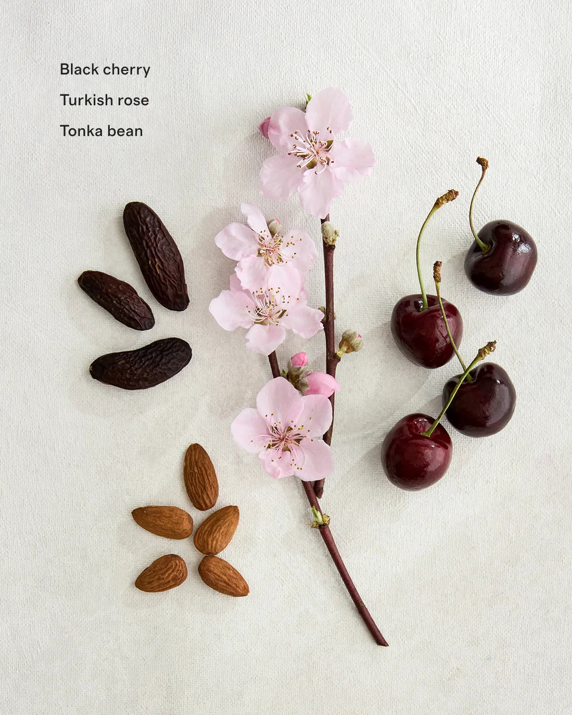 Les Cerises Eau de Parfum - One Size / No Color