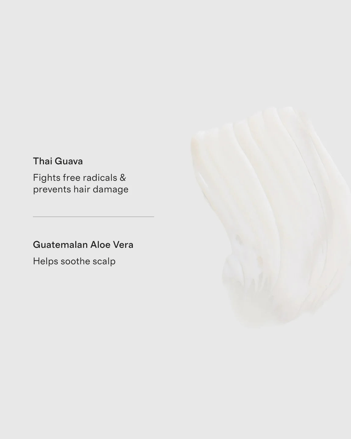 Guava Leave-In Conditioner by Ceremonia - One Size / No Color