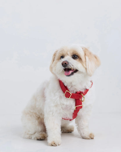 100% Cotton-Wrapped Nylon Dog Harness - XS / Navy