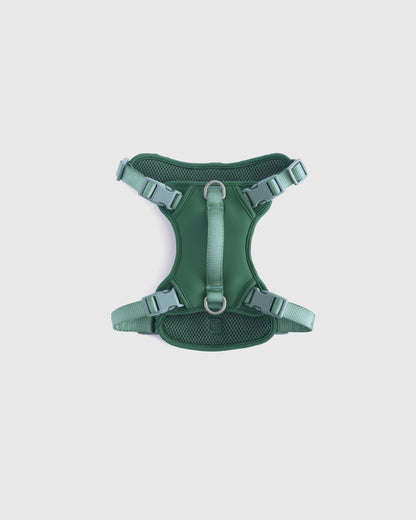 Dog Harness Walk Kit - XS / Black