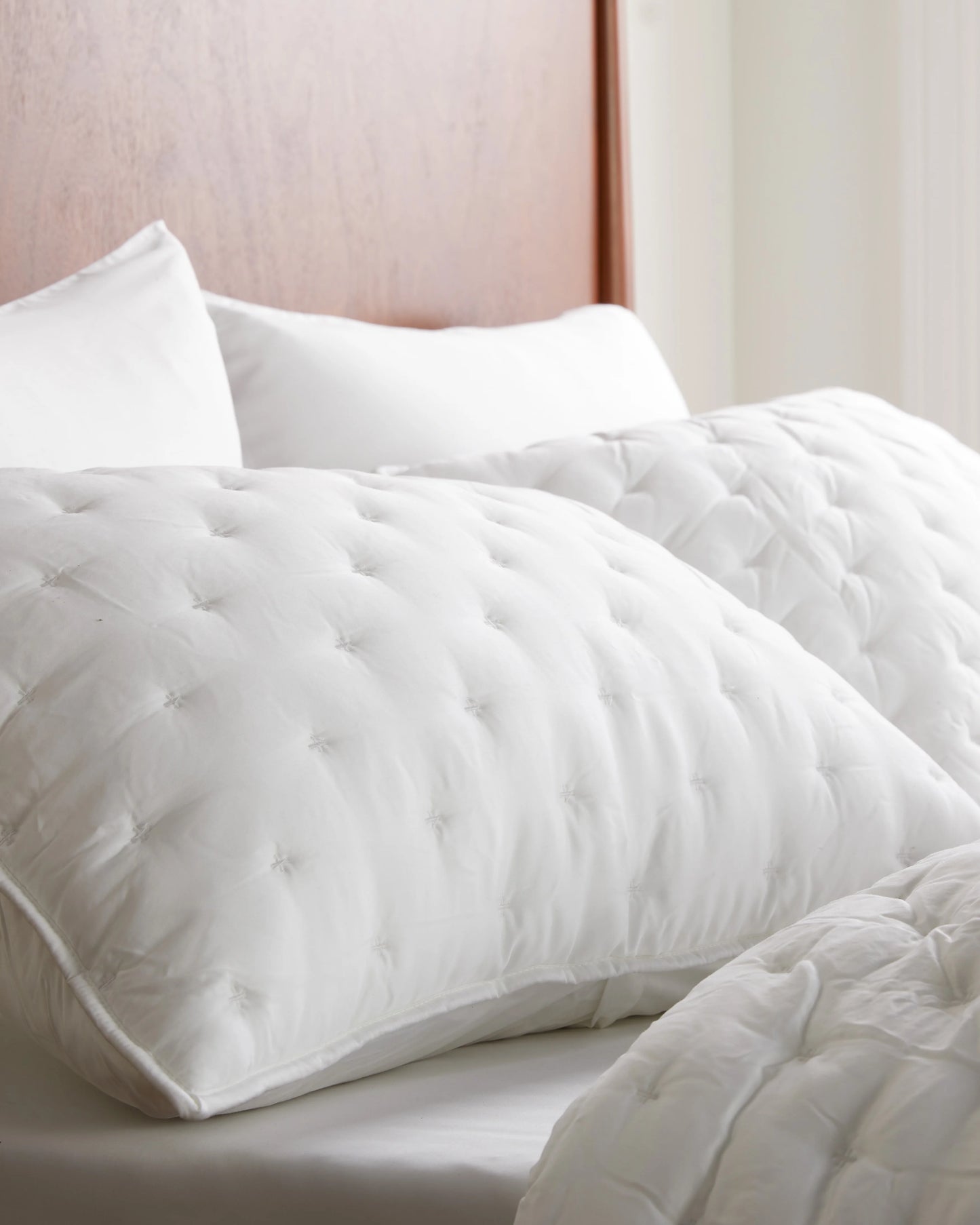 Bamboo Dream Quilted Sham Set - Standard / Sage