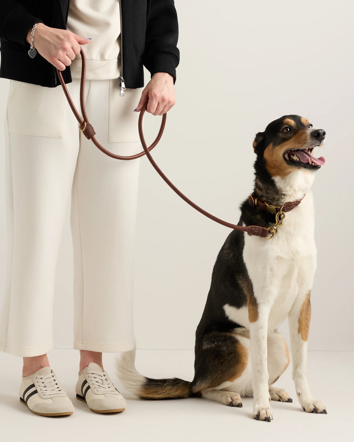 Rolled Italian Leather Dog Leash - Standard / Brown