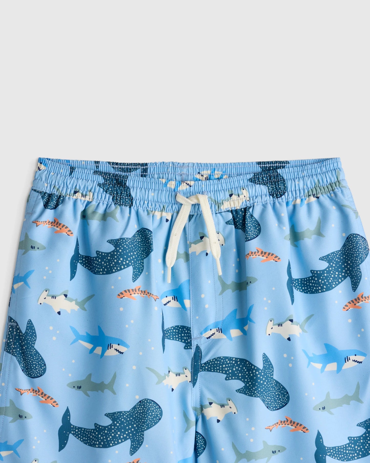Swim Trunk - 2T / Wavy Fish