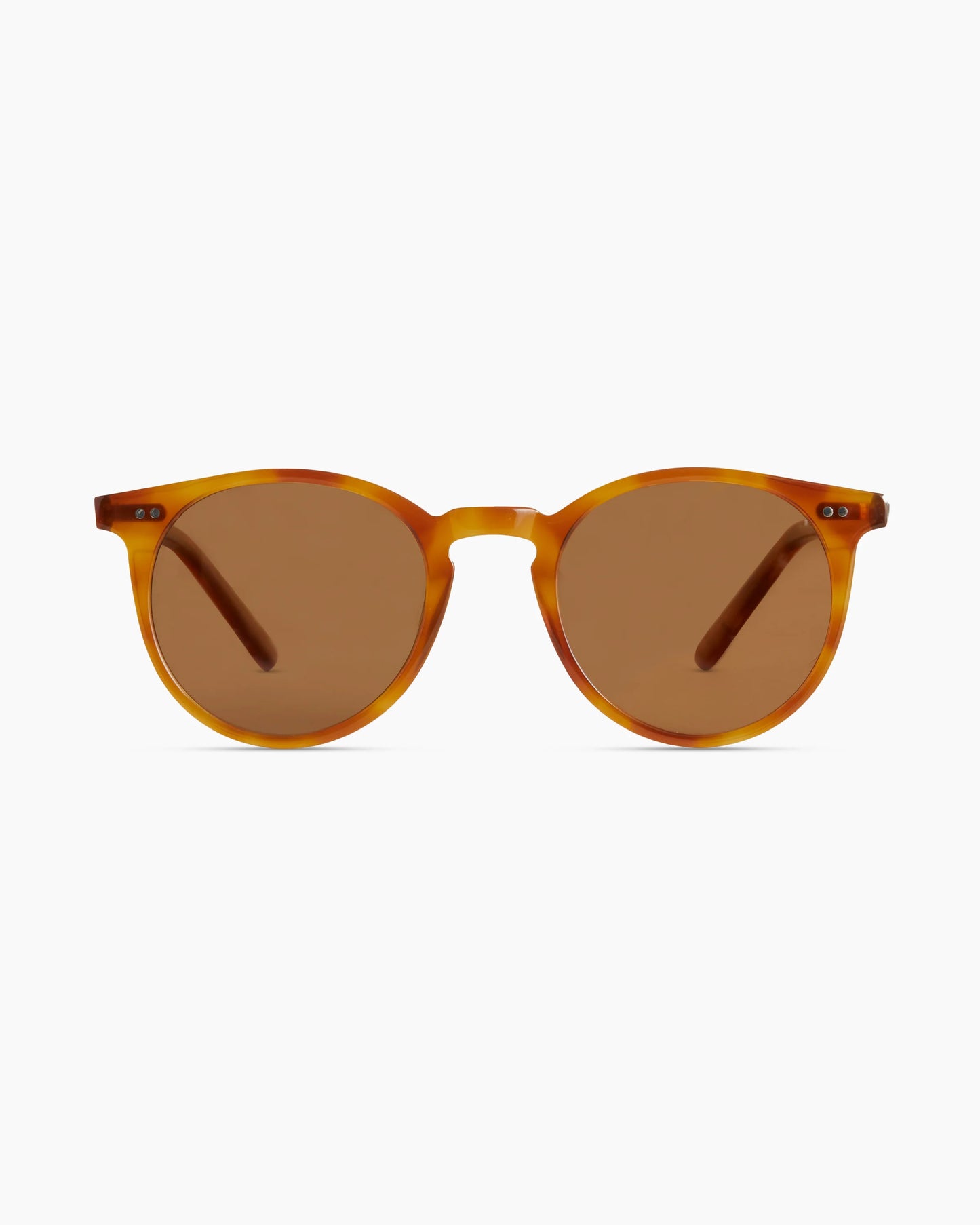 Noah Polarized Acetate Sunglasses - Standard / Tortoise with Brown lens
