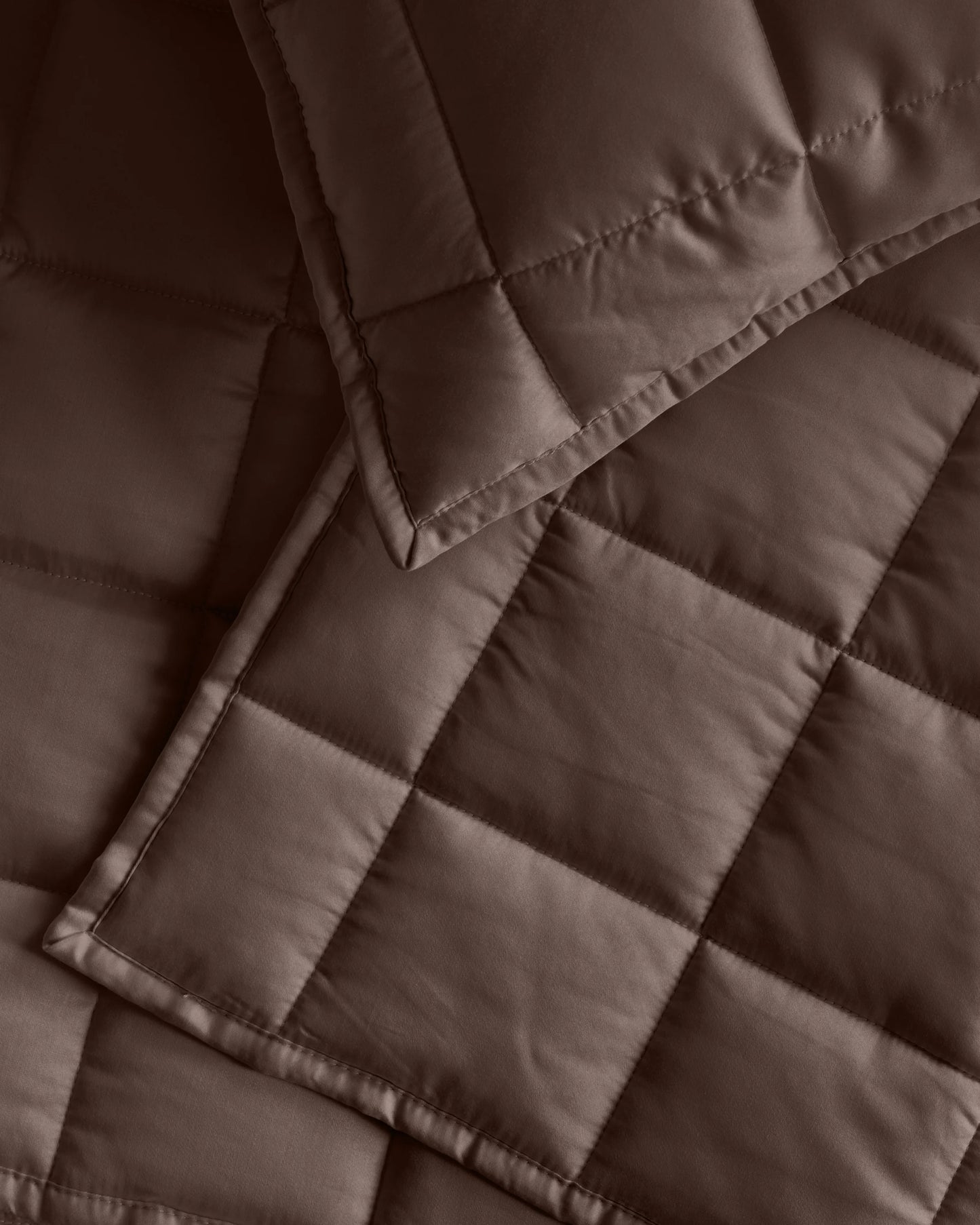 Bamboo Box Quilted Sham Set - Standard / Sage