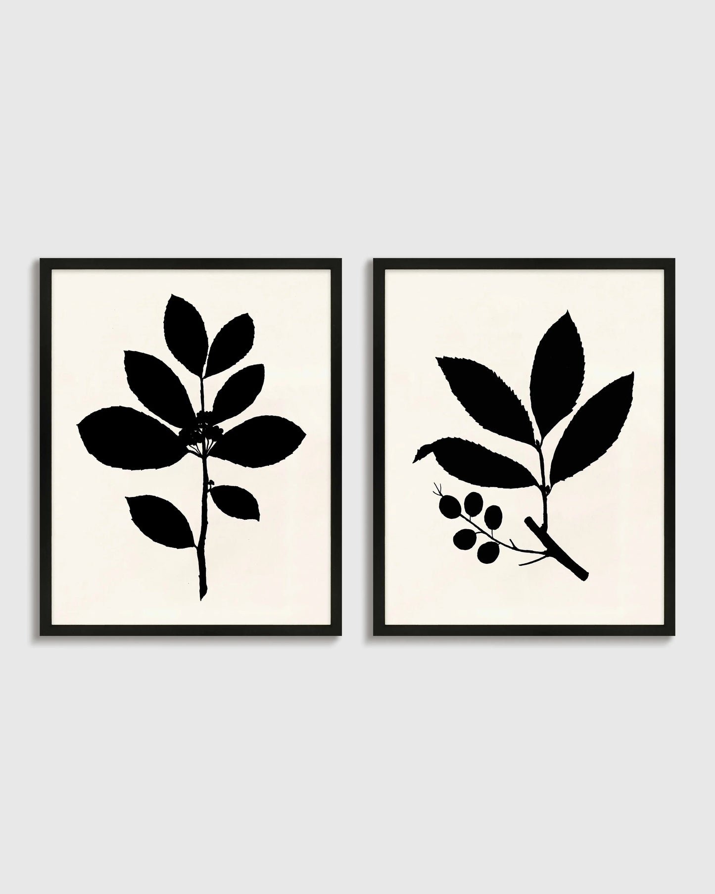 Tea Tree, Cherry Laurel by Philippa Katz (Set of 2) - 17.25"x21.25" / Black