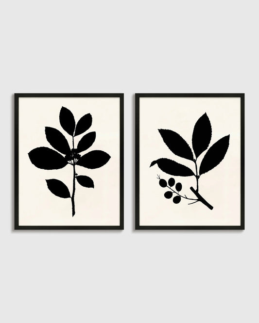 Tea Tree, Cherry Laurel by Philippa Katz (Set of 2) - 17.25"x21.25" / Black